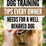 24 Dog Training Tips Every Owner Needs for a Well-Behaved Dog