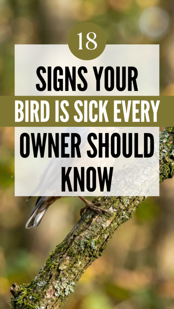 18 Signs Your Bird Is Sick Every Owner Should Know