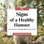 20 Signs of a Healthy Hamster Every Pet Owner Should Know