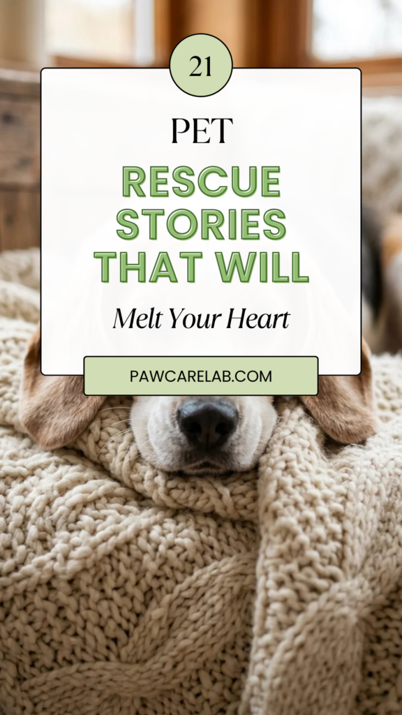 21 Pet Rescue Stories That Will Melt Your Heart