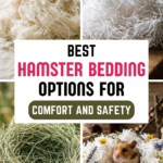 18 Best Hamster Bedding Options for Comfort and Safety
