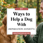 21 Ways to Help a Dog With Separation Anxiety