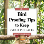 20 Bird Proofing Tips to Keep Your Pet Safe