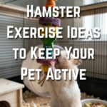 19 Hamster Exercise Ideas to Keep Your Pet Active