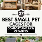 27 Best Small Pet Cages for Comfort and Easy Cleaning