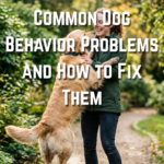28 Common Dog Behavior Problems and How to Fix Them
