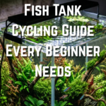 19 Fish Tank Cycling Guide Every Beginner Needs