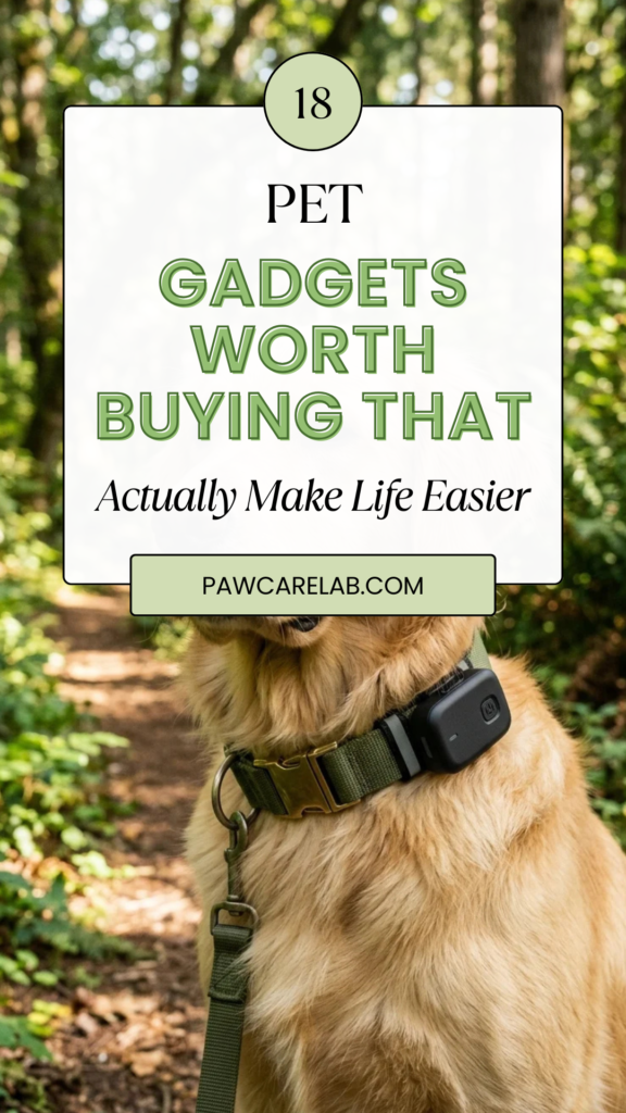 18 Pet Gadgets Worth Buying That Actually Make Life Easier