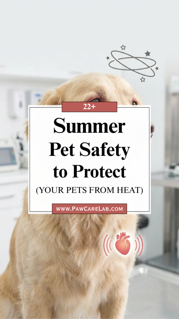 22 Summer Pet Safety Tips to Protect Your Pets from Heat