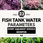 23 Fish Tank Water Parameters Every Aquarist Should Monitor