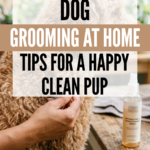 22 Dog Grooming at Home Tips for a Happy, Clean Pup