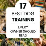 17 Best Dog Training Books Every Owner Should Read