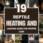 19 Reptile Heating and Lighting Guide for Proper Care