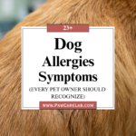 23 Dog Allergies Symptoms Every Pet Owner Should Recognize