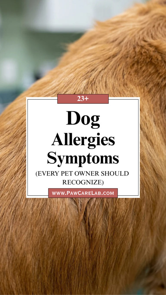 23 Dog Allergies Symptoms Every Pet Owner Should Recognize