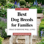 27 Best Dog Breeds for Families That Everyone Will Love