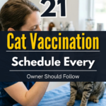 21 Cat Vaccination Schedule Every Owner Should Follow