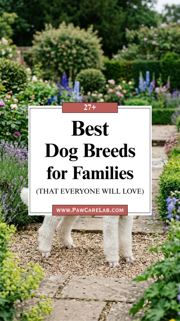 27 Best Dog Breeds for Families That Everyone Will Love