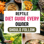 17 Reptile Diet Guide Every Owner Should Follow