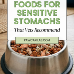 21 Best Dog Foods for Sensitive Stomachs That Vets Recommend