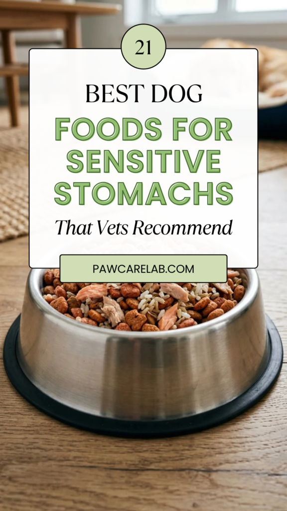21 Best Dog Foods for Sensitive Stomachs That Vets Recommend