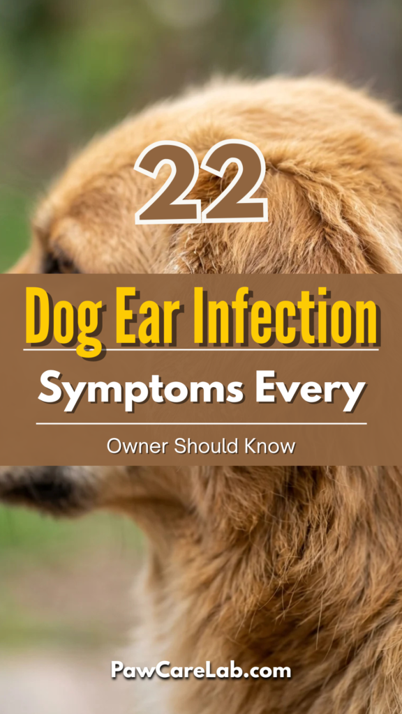 22 Dog Ear Infection Symptoms Every Owner Should Know