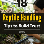 18 Reptile Handling Tips to Build Trust Safely