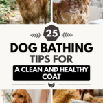 25 Dog Bathing Tips for a Clean and Healthy Coat
