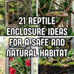 21 Reptile Enclosure Ideas for a Safe and Natural Habitat