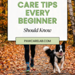 27 Pet Care Tips Every Beginner Should Know