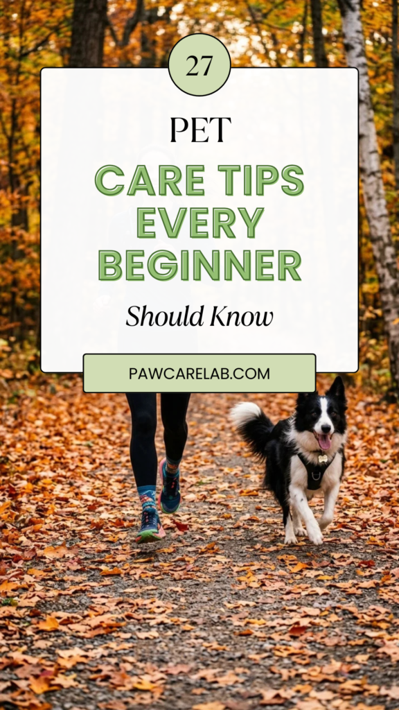 27 Pet Care Tips Every Beginner Should Know