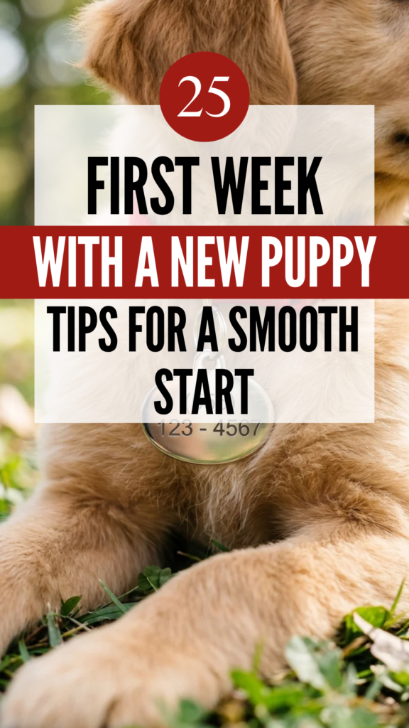 25 First Week With a New Puppy Tips for a Smooth Start