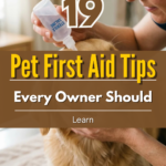 19 Pet First Aid Tips Every Owner Should Learn