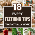 18 Puppy Teething Tips That Actually Work