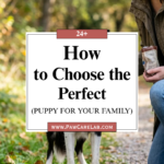 24 How to Choose the Perfect Puppy for Your Family