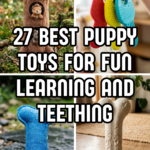 27 Best Puppy Toys for Fun, Learning, and Teething