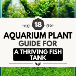 18 Aquarium Plant Guide for a Thriving Fish Tank