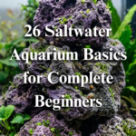 26 Saltwater Aquarium Basics for Complete Beginners