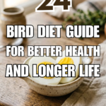 24 Bird Diet Guide for Better Health and Longer Life