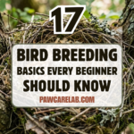 17 Bird Breeding Basics Every Beginner Should Know