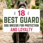 18 Best Guard Dog Breeds for Protection and Loyalty