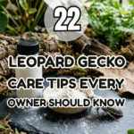 22 Leopard Gecko Care Tips Every Owner Should Know