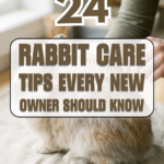 24 Rabbit Care Tips Every New Owner Should Know