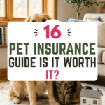 16 Pet Insurance Guide: Is It Worth It?
