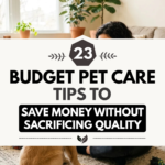 23 Budget Pet Care Tips to Save Money Without Sacrificing Quality