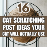 16 Cat Scratching Post Ideas Your Cat Will Actually Use