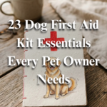 23 Dog First Aid Kit Essentials Every Pet Owner Needs