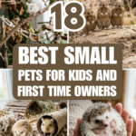 18 Best Small Pets for Kids and First-Time Owners