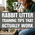 17 Rabbit Litter Training Tips That Actually Work