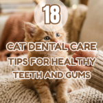 18 Cat Dental Care Tips for Healthy Teeth and Gums